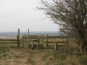 The path to Letcombe Bassett, Ridgeway